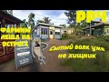 Фарм леща на Остроге в РР4. Как фармить новичку!