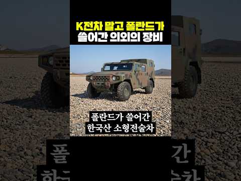 K-전차 말고 폴란드가 쓸어간 의외의 <strong>장비</strong>