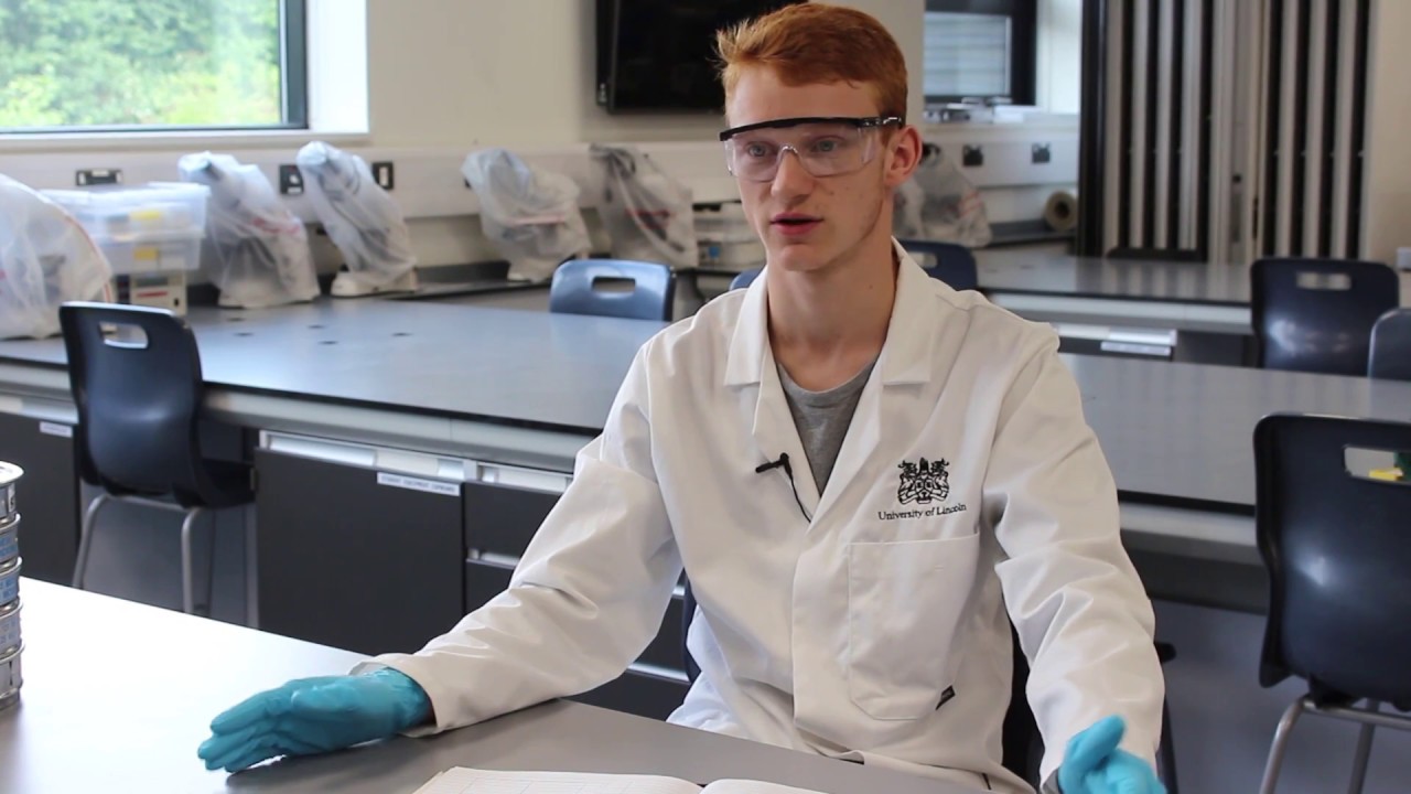 BSc Geography Summer Research Projects | University of Lincoln