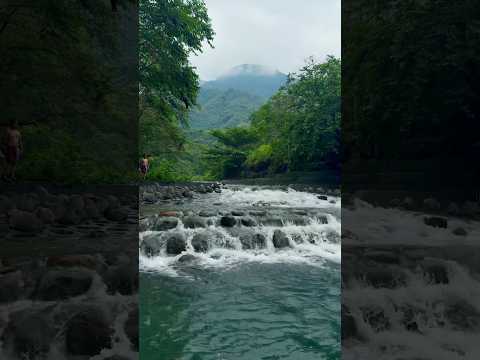 From green to beautiful #shorts #travel #taiwan #viral #trending #shortsyoutube