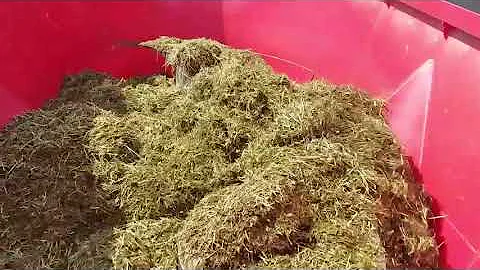 Shake it! 🌪️  | M62 Victor Signature Mixer | Rovibec