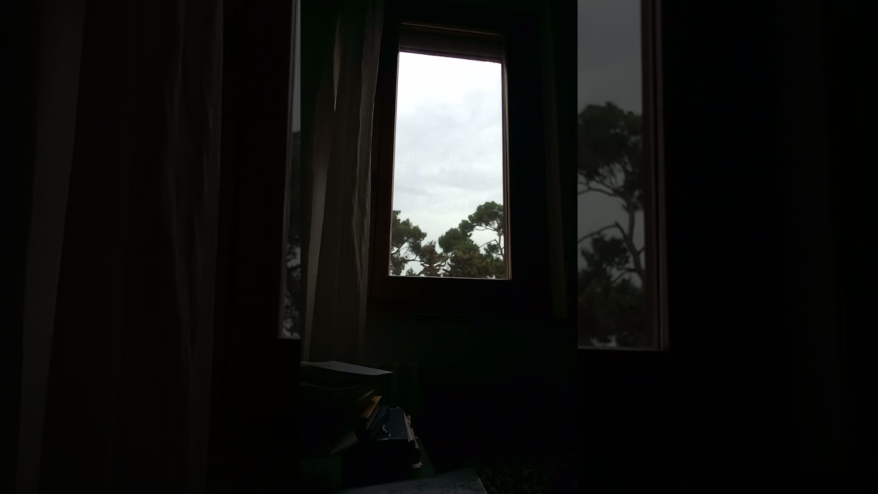 Diego Riccobene, da: Larvae "EPITEMA" (pag.57) Voce di Sergio Carlacchiani, Il Clamorosissimo