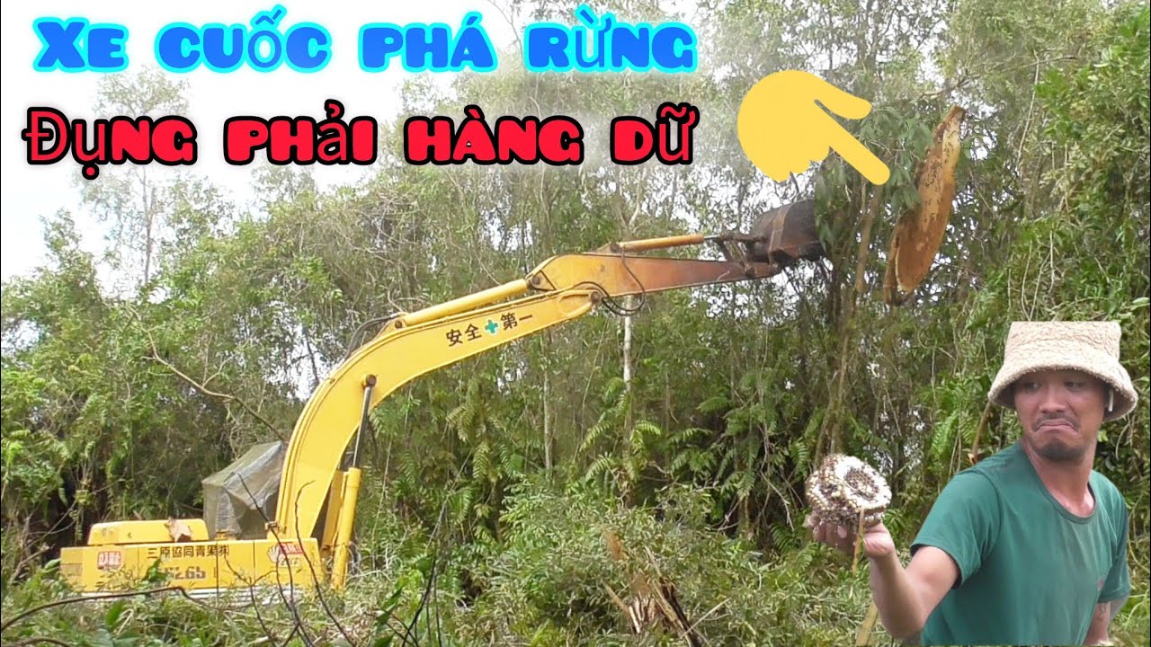Xe cuốc giăng mùng đi phá rừng liên tục đụng phải toàn hàng nóng ai cũng khiếp sợ