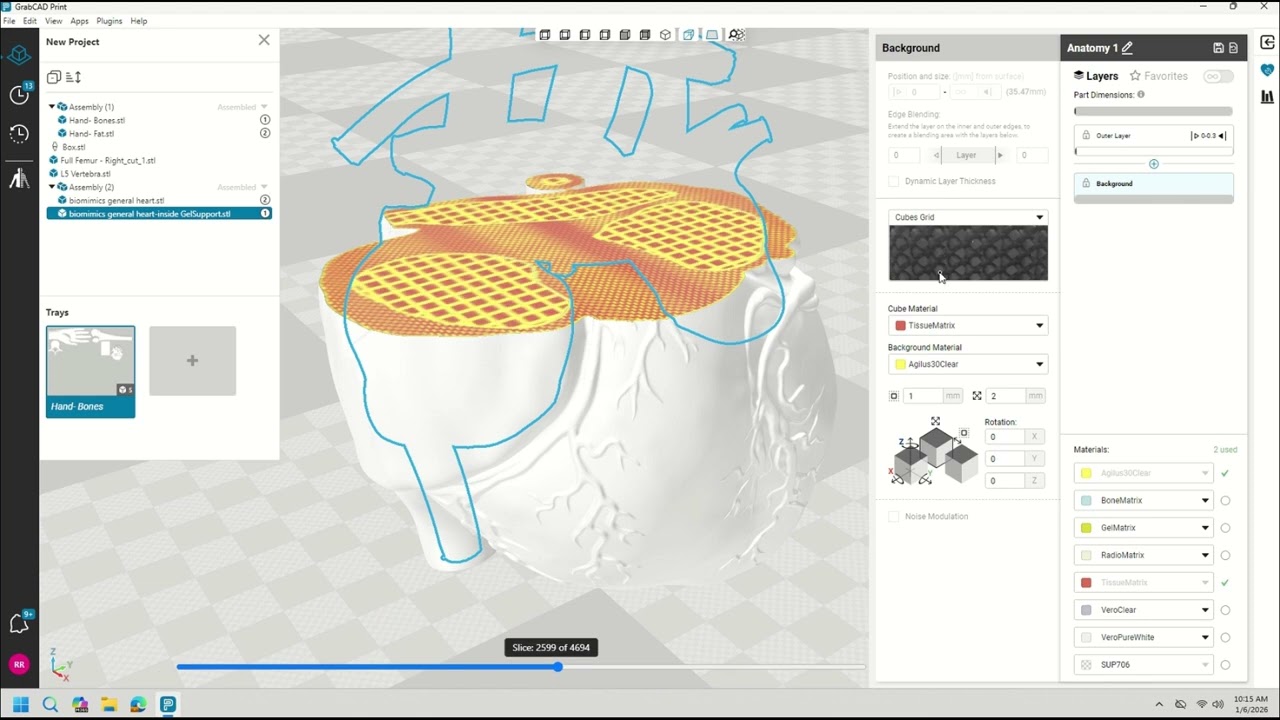 Stratasys Academy | Digital Anatomy Creator Software: The Cube Grid Function