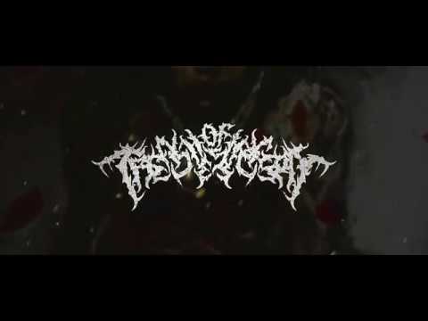 TRENCHES OF DAEGON - WEEPING WASTELANDS (MAKE THEM SUFFER INSTRUMENTAL COVER)