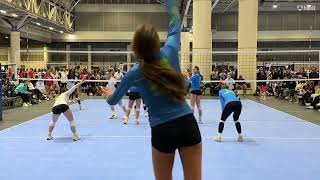 2023-2024 Highlights - Violet Light