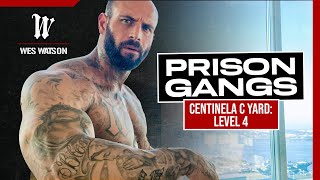 Information Prison Gangs: Centinela C Yard: Level 4 Guide