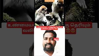 தாய்மைனா சும்மாவா😘😘#viral#trolllife#viralvideo#trend#funny#ytstudio#trending#monkey#monkeys#reels#yt