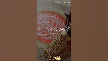 سورة الناس بصوت الشيخ أبو أنس شمس الدين