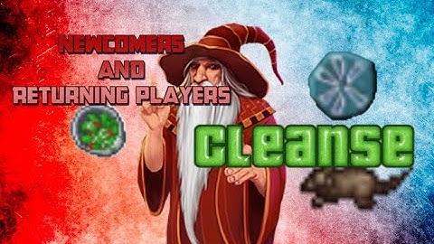 Tibia Ep. 13 -  Small Cleanse Tips