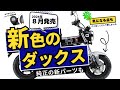 モデルチェンジ発表！ダックス125に待望の新色ブラック！でもあの部分はそのまま...