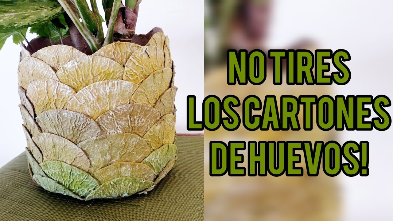 Transforma recipientes plásticos en lindas macetas!