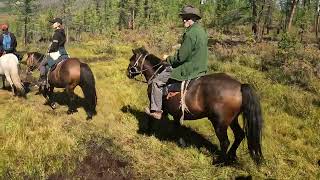 Horseback Ride To The Tengis River