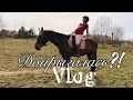 Vlog! Совмещаю лошадей, конюшню и декрет.