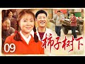 【好看年代剧】柿子树下 09  | 未婚夫悔婚另娶,农家女赌气错嫁,却在岁月中读懂丈夫,最终为爱留守大山,扛起风雨一生……(王茜华/于震)