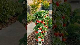 She turned PVC pipes into a strawberry farm! 🍓🤯 || Craftora AI #ytshorts