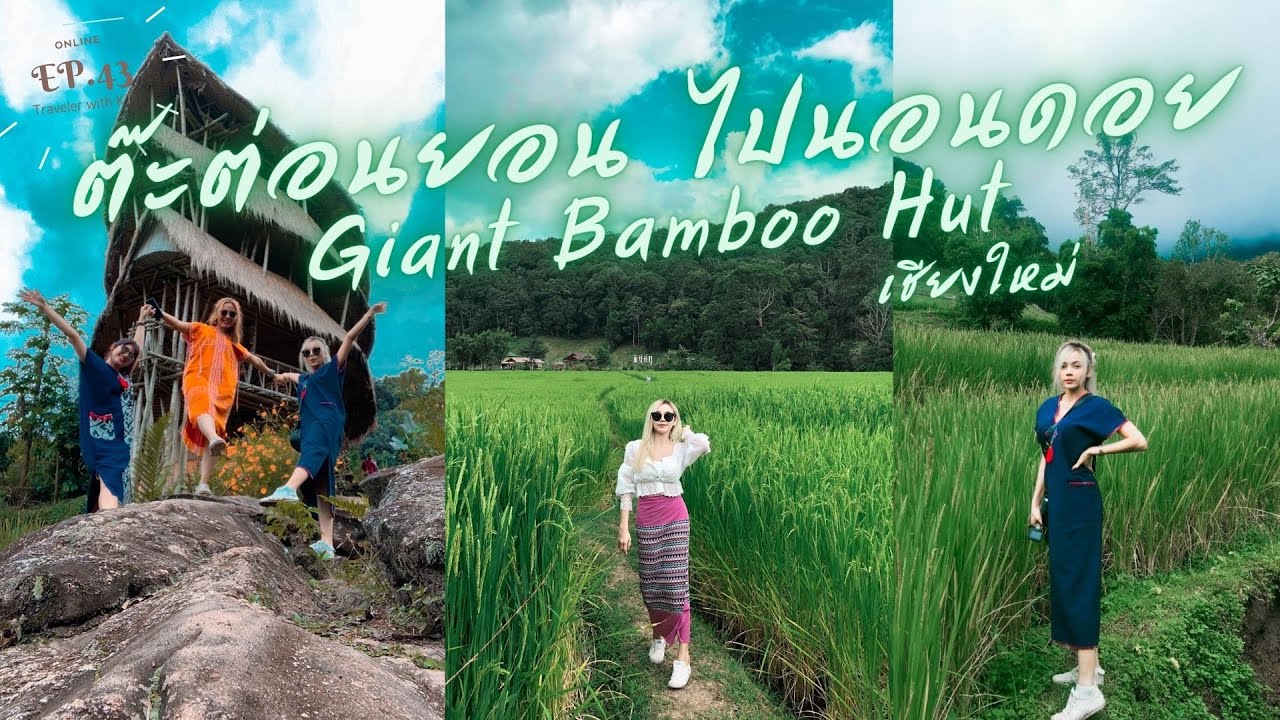 EP.43 Vlog ต๊ะต่อนยอน ไปนอนดอย Giant Bamboo Hut บ้านไม้ไผ่ยักษ์ นาขั้นบันได เชียงใหม่ By KT