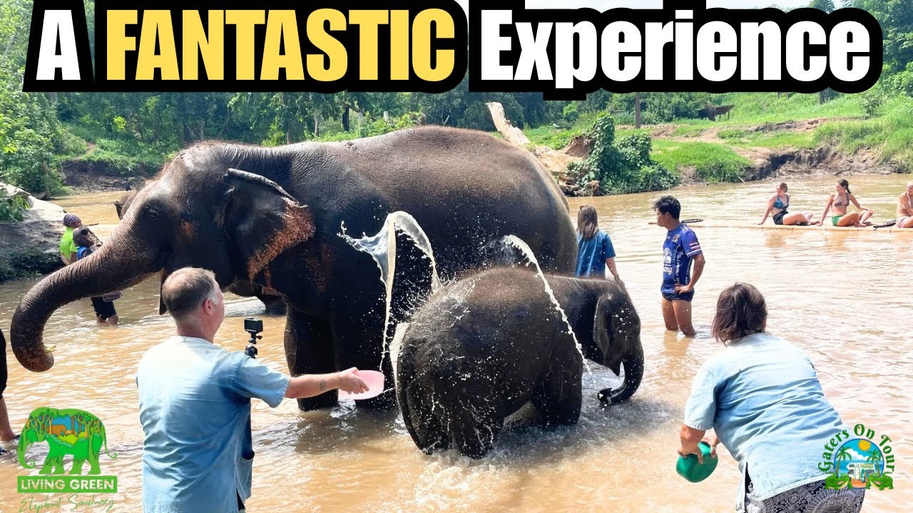 Elephant Bath Day! 🐘💦 Our Visit to Living Green Sanctuary #chaingmai