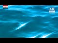 4K Egypt Background | Red Sea | Relaxing Ambient Wallpaper | 345