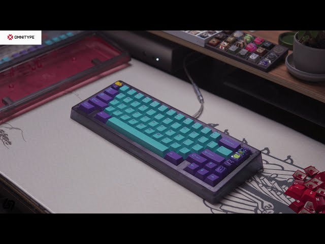 Omnitype Bauer Lite Build Stream - YouTube