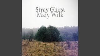 Video thumbnail of "Stray Ghost - For a Time Our Footsteps Ran Together"