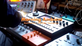 Morning Ambient Session | Machinedrum, SEQTRAK & Analog Four