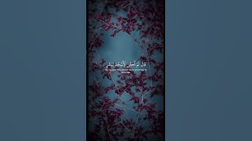 || سورة الحجر || القارئ عمر شميم #قرآن #اكسبلور #quran