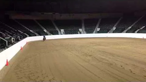 NCRHA Futurity