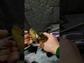 Ice fishing at Night!!