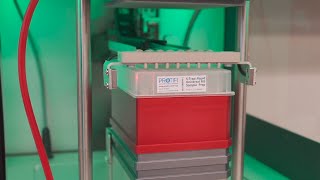 Tecan A200 automated S-Trap sample prep full