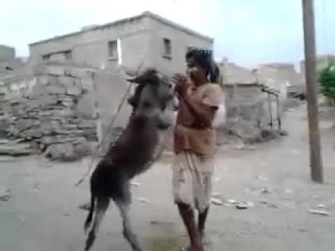 قمة الرومنسية