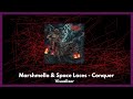 Marshmello Space Laces Conquer Visualizer mp3