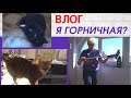 Подарки для кота Мишки/Я горничная/Мотивирую на уборку на балконе @SubTatiana