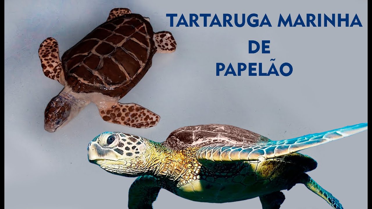 como-fazer-tartaruga-marinha-de-papel-o-youtube