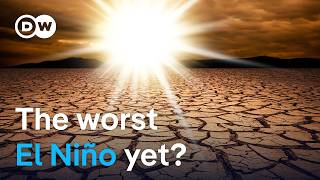 The climate phenomenon that makes the world even hotter is returning | DW News