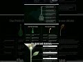 FLOWERING PLANTS II #biologyoneshot #cbseboards #biologyoneshot #floweringplants #botanyclass12