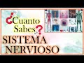 TEST del Sistema Nervioso. Enfermería más Humana