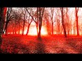 Relaxing Music & Bird Sounds ●︎ Romantic Piano and Guitar music for Relaxation and meditation
