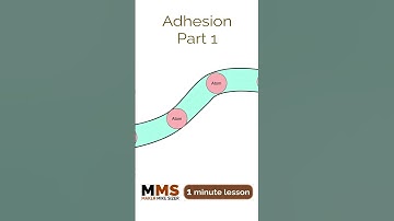 Adhesion Part 1 #shorts