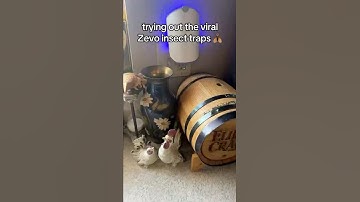 This is not sponsored but with the amount of bugs on this thing it honestly should be @ZevoInsect