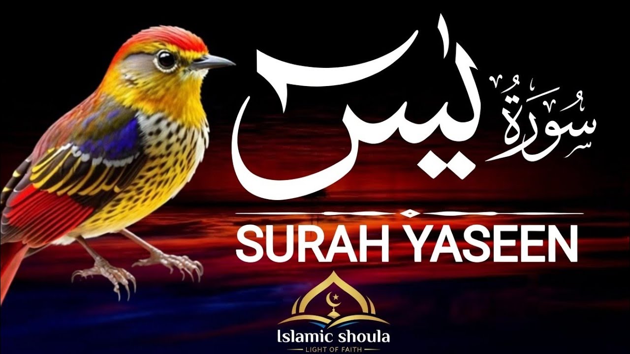 Surah Yaseen Full Tilawat | Heart Touching Recitation | سورة يس | Peaceful Quran Recitation 2026