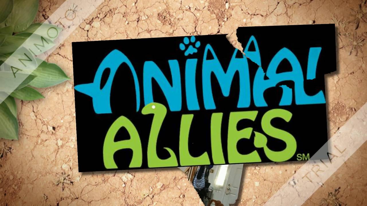 FLL Animal Allies Robot Game Overview by Team 11868 - YouTube
