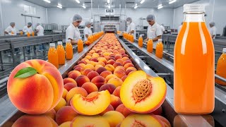 How Peach Juice Is Made Inside a Modern Factory Net Worth