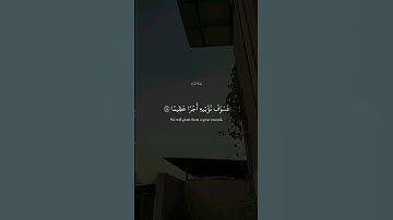 سورة_النساء  آية ١١٤ الى ١١٥||حالات واتس قرآن || تلاوة #مشاري_العفاسي
