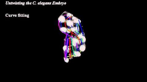 New Open-Source Software "Untwists" Worm Embryos