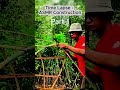 🎋 Bamboo Tent Making ASMR ⏱️ | Time-Lapse Part 1 🌧️
