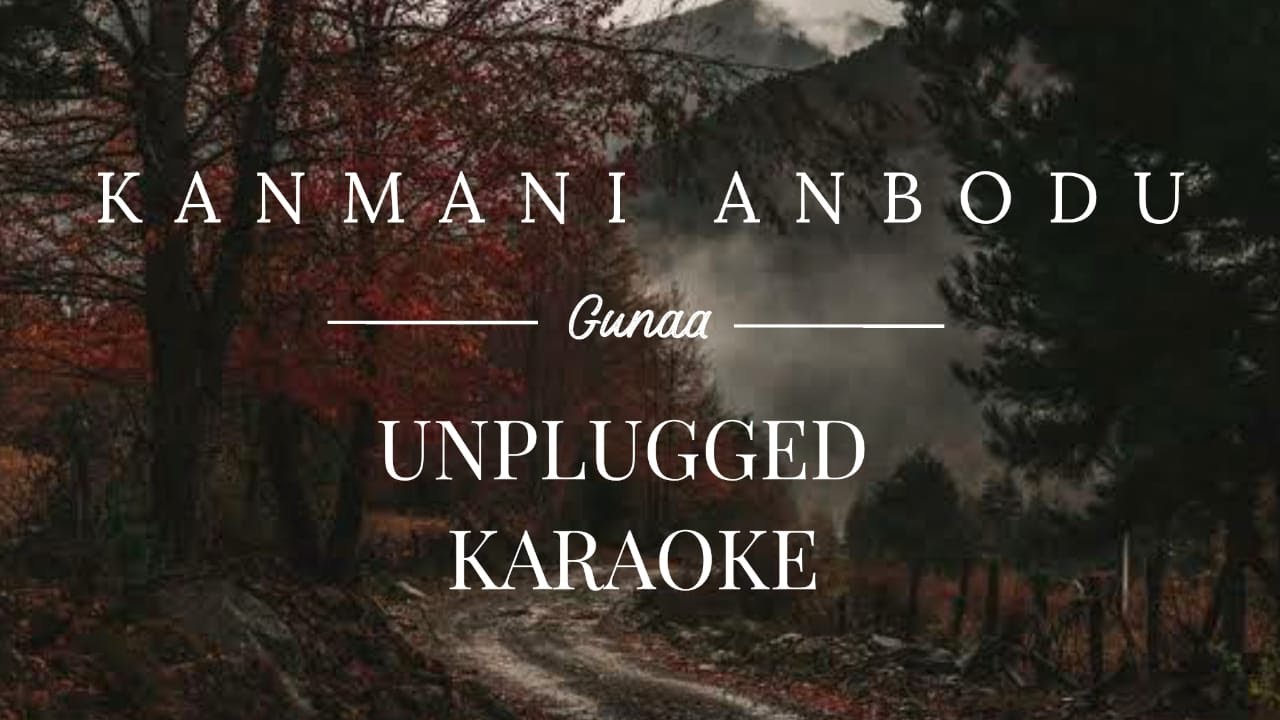 Kanmani Anbodu  karaoke with lyrics  unplugged  Sebin Xavier Musical
