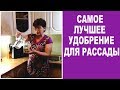 Самое лучшее натуральное удобрение для рассады