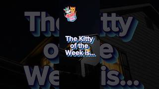 Meet the Kitties of Series 3 - Snowflake the White Long Hair! 🐱🤍