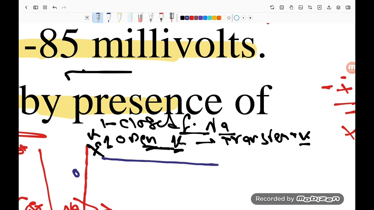 Physiology properties of cardiac muscle